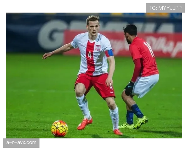 波兰国家队排名波动引关注：经济与社会因素交织影响未来走势