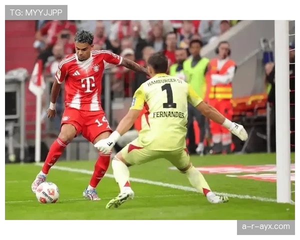 汉堡近期比赛亮点：攻防表现稳健，主场竞争力持续提升